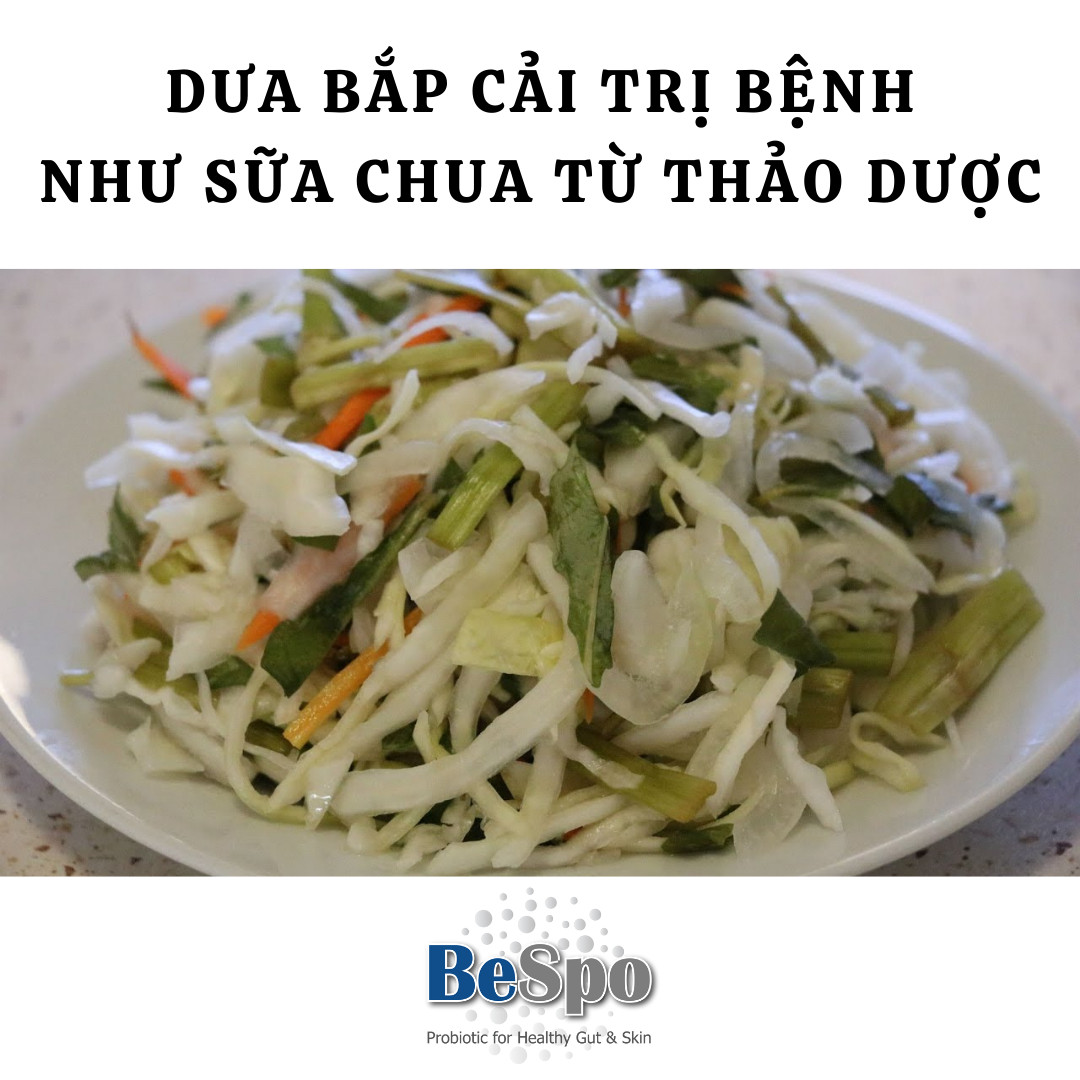 Dưa bắp cải trị bệnh tiêu hóa như sữa chua từ thảo dược